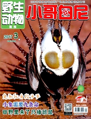 С�������־