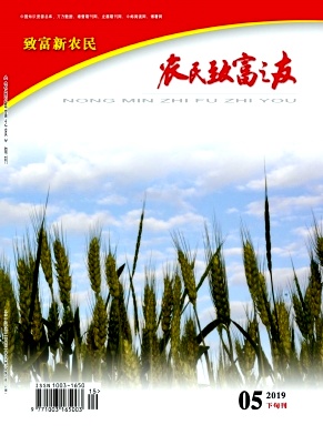 NMZF201915.jpg