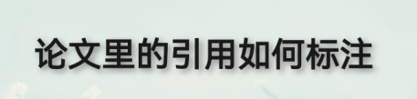 15.png