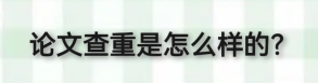 21.png