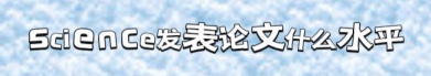 23.png